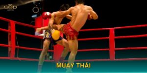 Muay Thái – Võ thuật đối kháng, tỷ lệ kèo sôi động tại God55