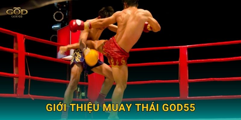 Giới thiệu Muay Thái God55
