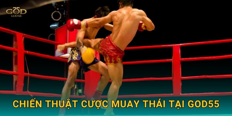 Chiến thuật cược Muay Thái tại God55