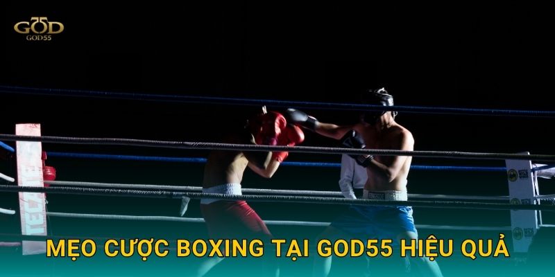 Các giải đấu Boxing được God55 hỗ trợ