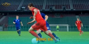 Bóng đá
